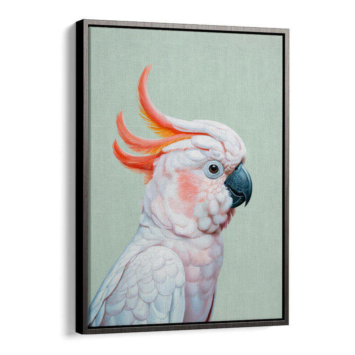 WHITE COCKATOO NO 1