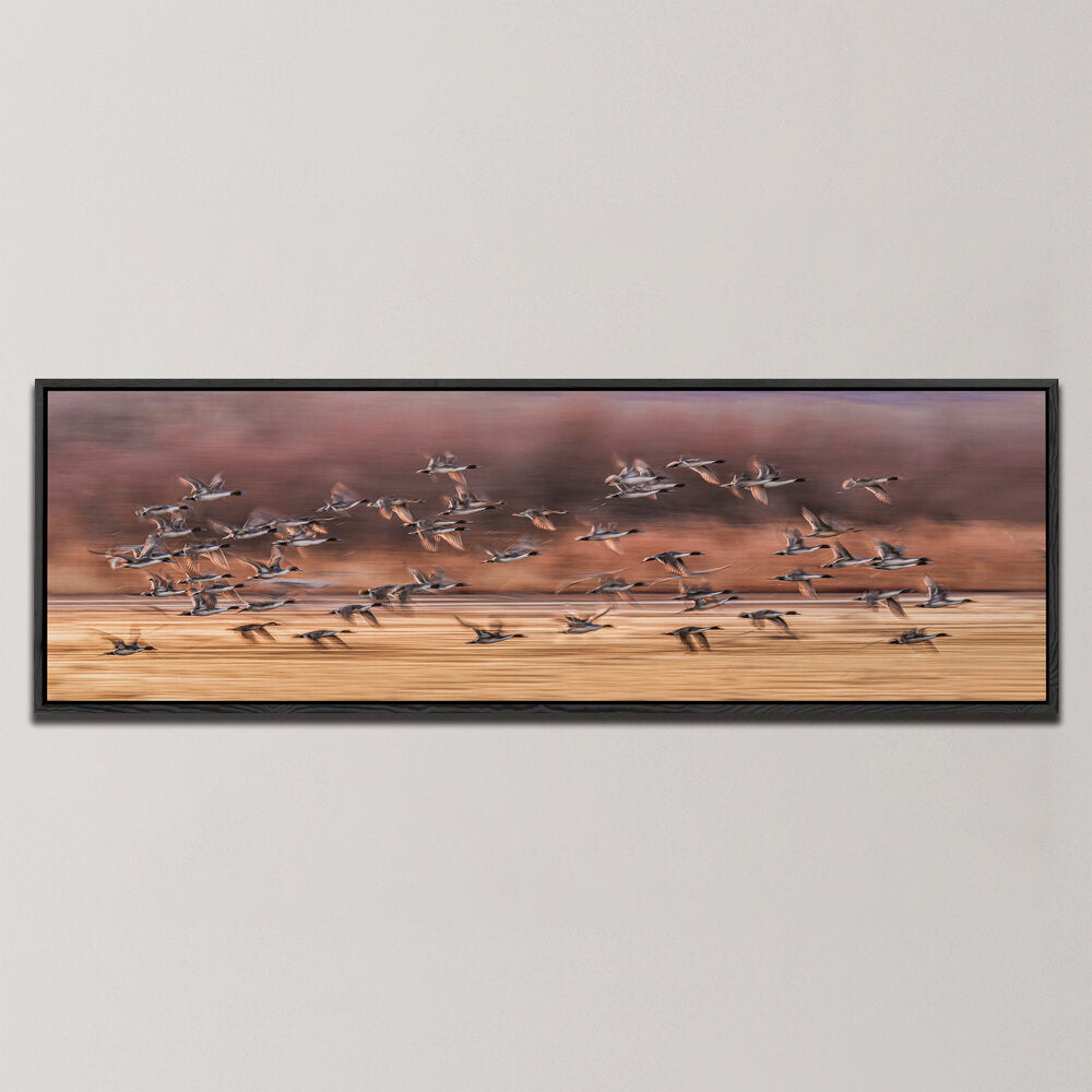 BIRDS TAKING OFF , PANORAMIC ART