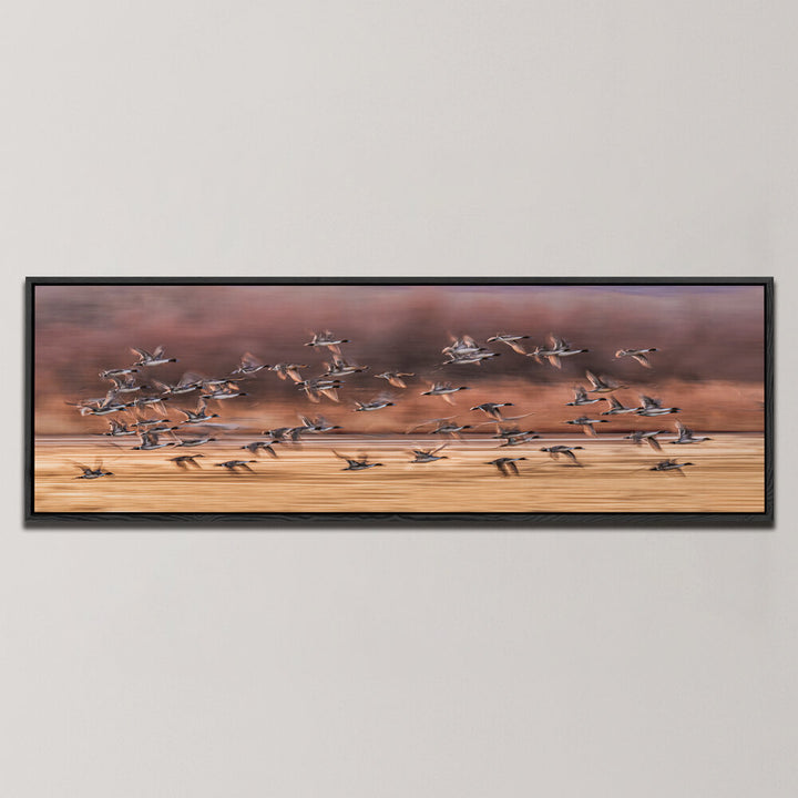 BIRDS TAKING OFF , PANORAMIC ART
