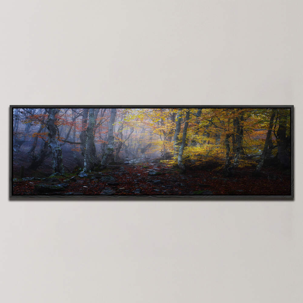 HAYEDO , PANORAMIC ART