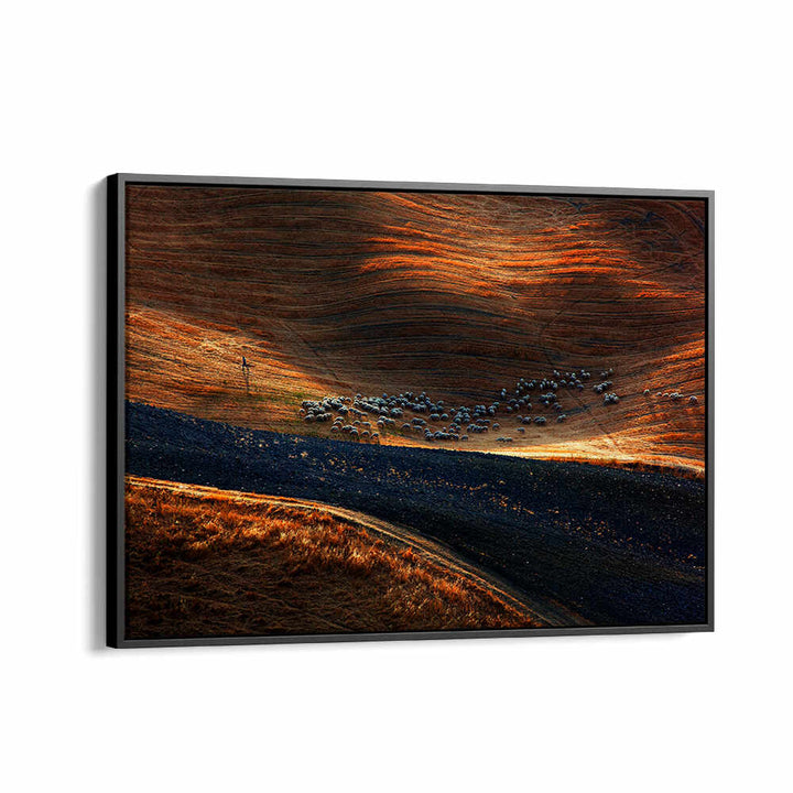 IL GREGGE , PHOTOGRAPHY PRINTS