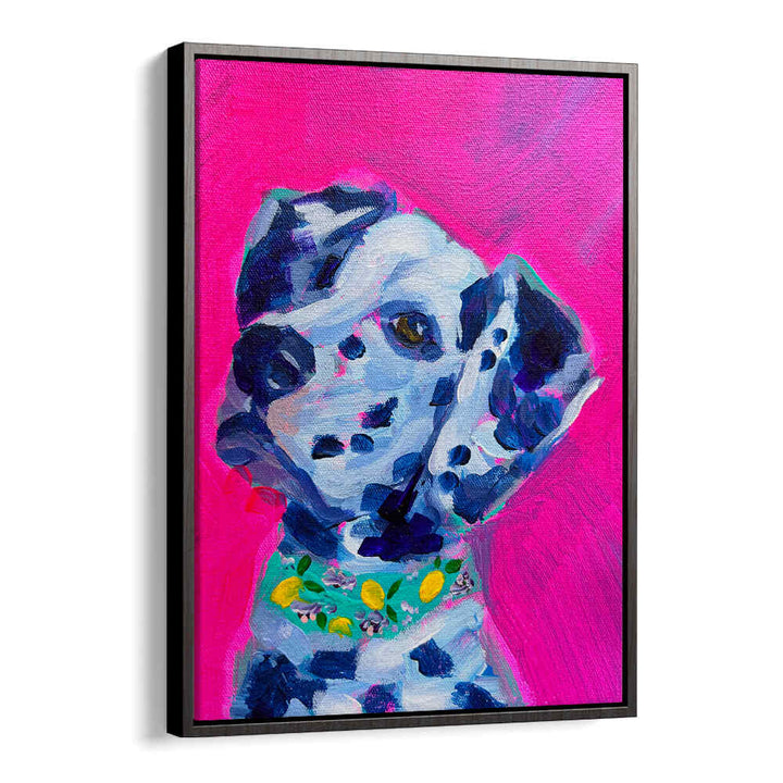 DALMATION , FASHION POSTERS — vibrant Dalmatian with black spots, lemon-green collar on hot pink background, Black Floater