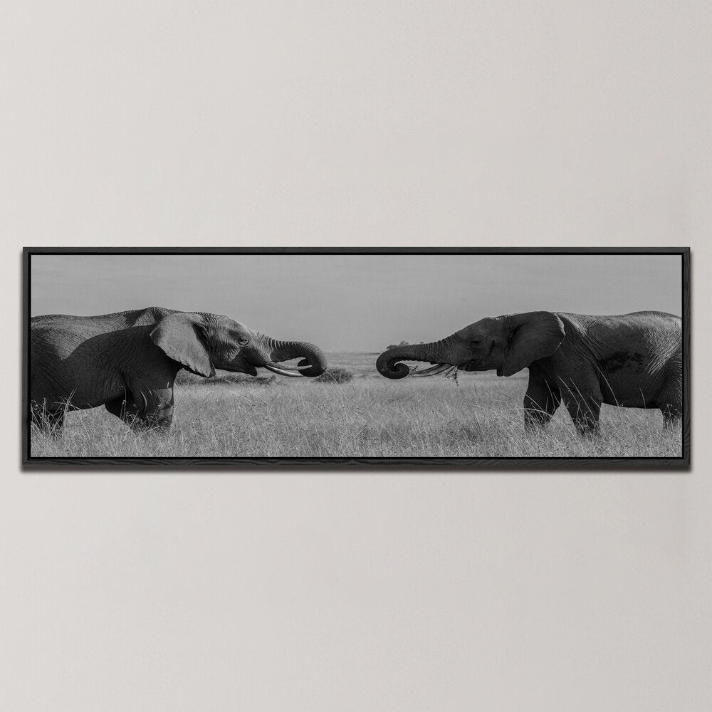 YOUNG ELEPHANTS SHOW OF POWER , PANORAMIC ART