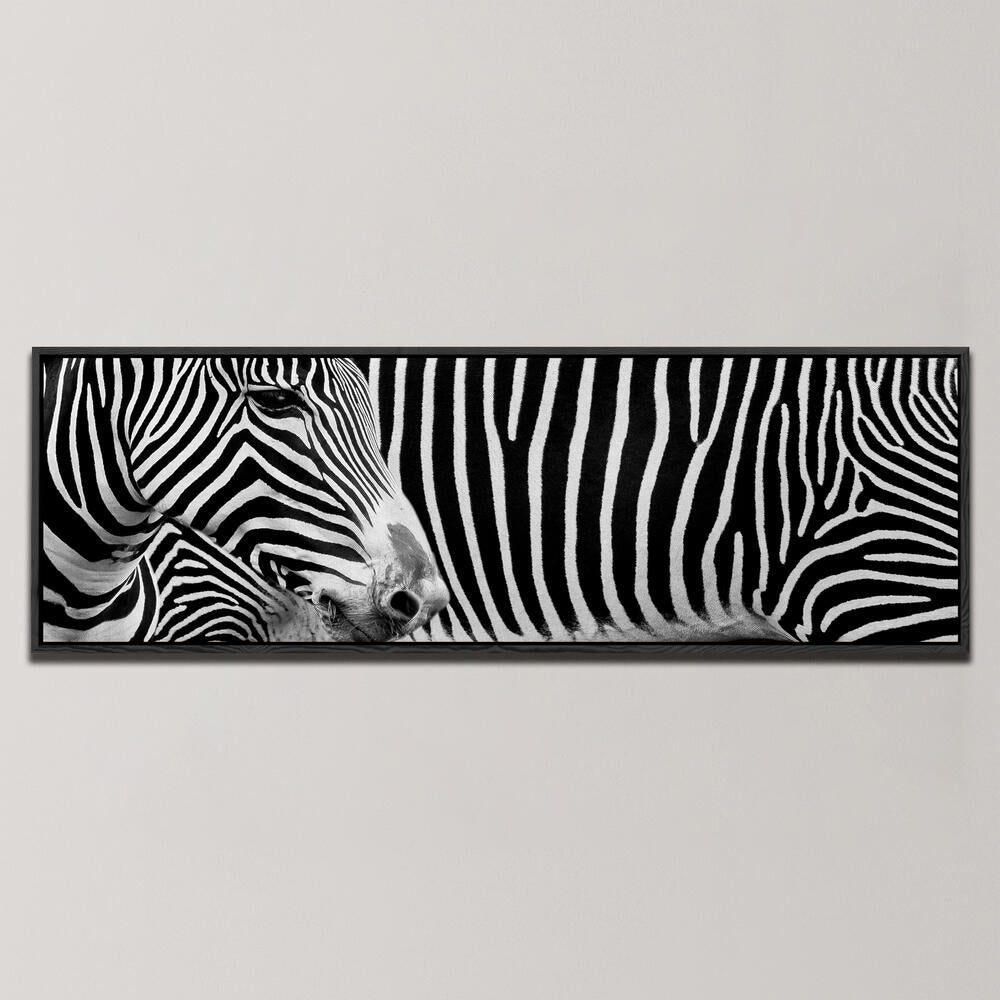 ZEBRA I , PANORAMIC ART