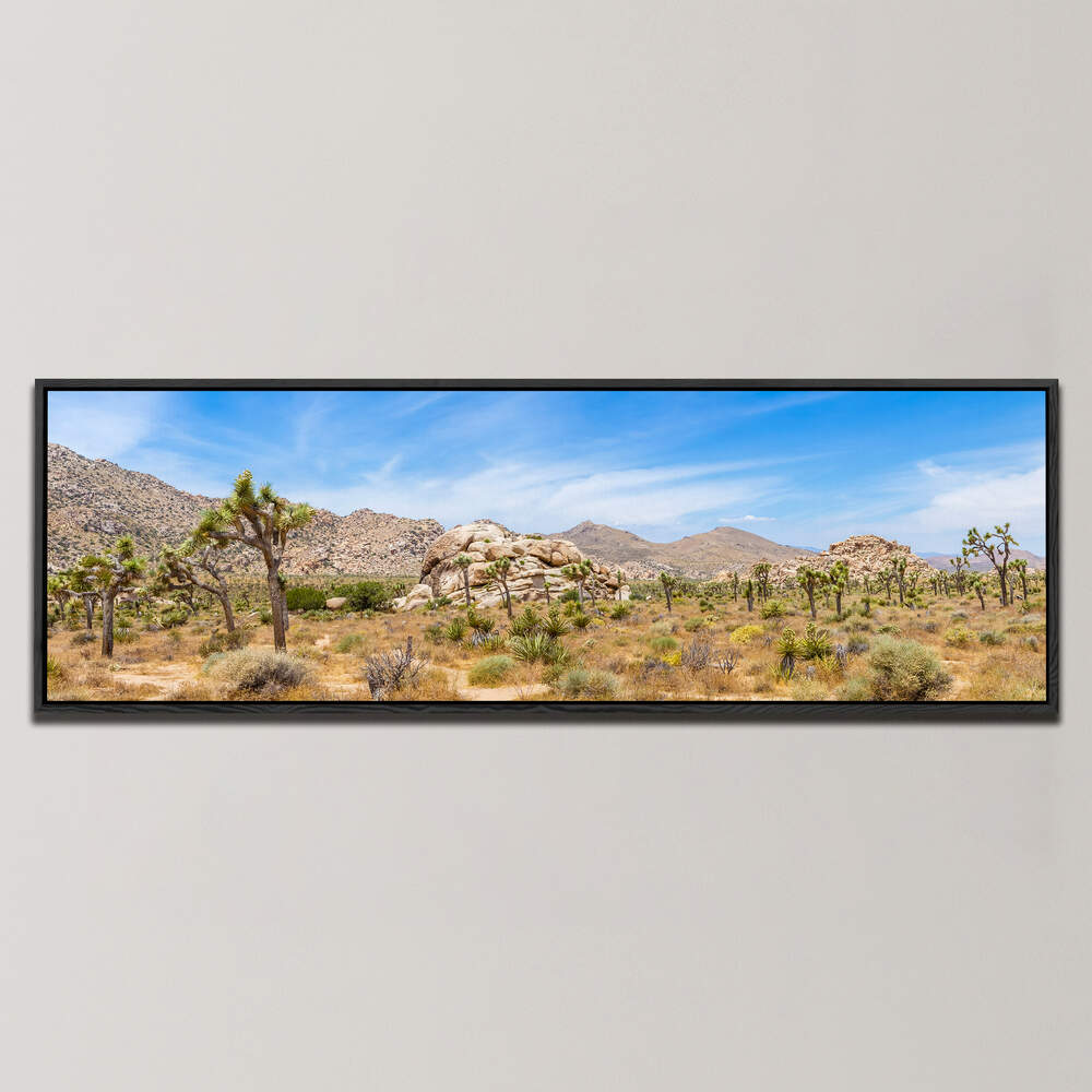 SCENIC JOSHUA TREE NATIONAL PARK , PANORAMIC ART