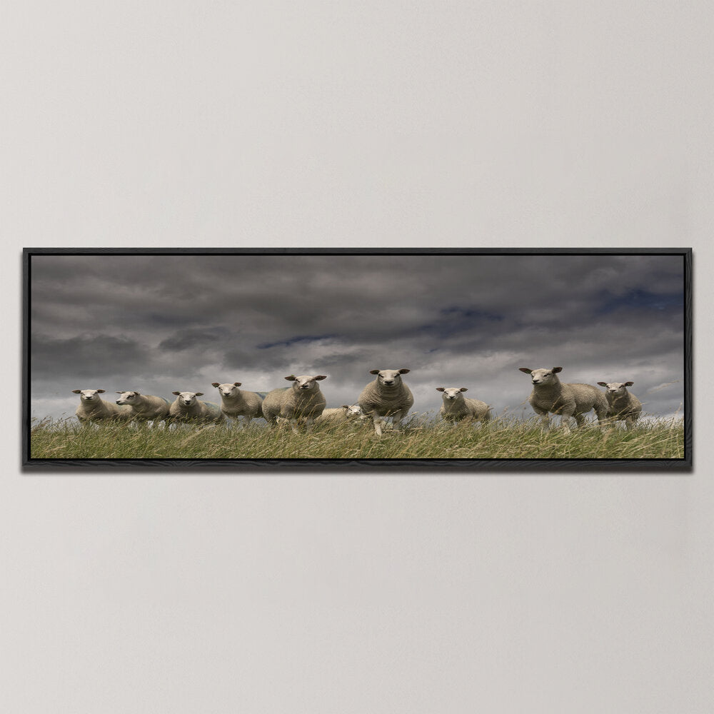 WE COME IN PEACE , PANORAMIC ART