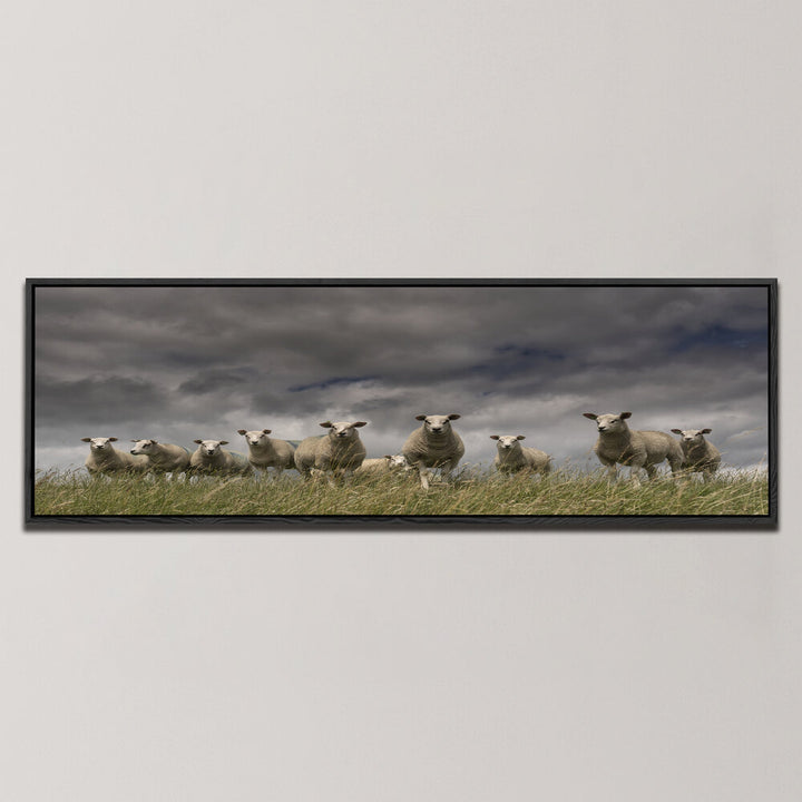 WE COME IN PEACE , PANORAMIC ART