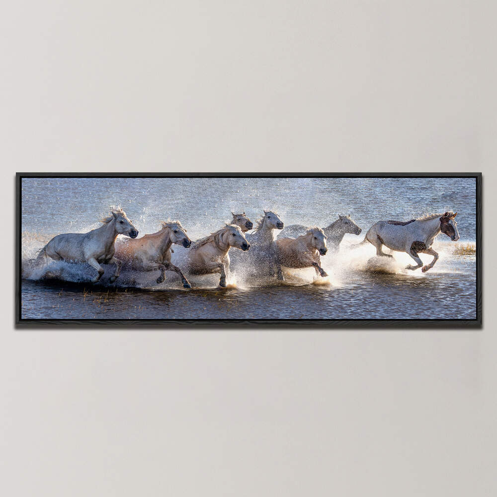 EIGHT WHITE HORESES , PANORAMIC ART
