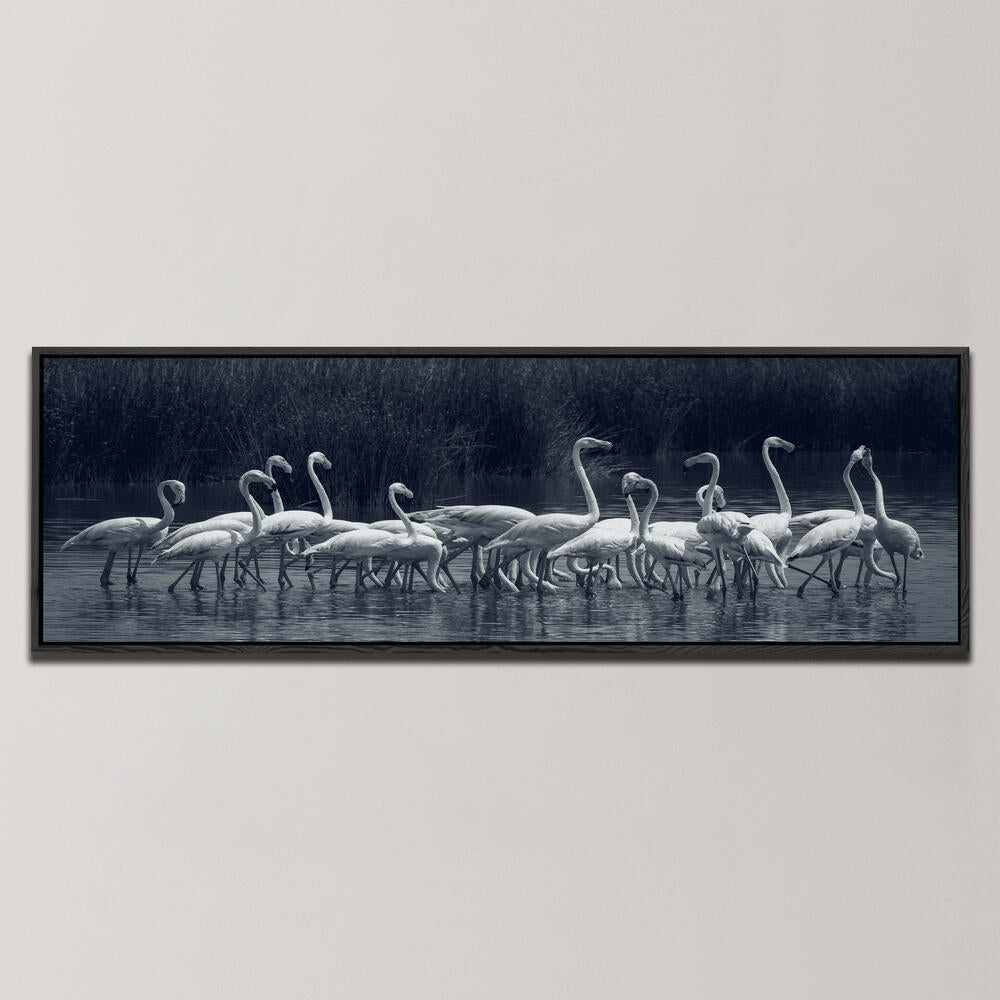 FLAMINGOS , PANORAMIC ART