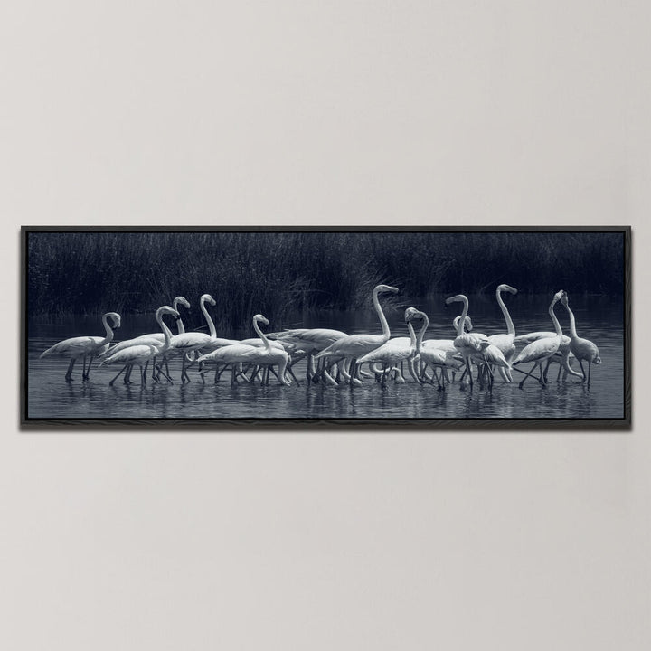 FLAMINGOS , PANORAMIC ART