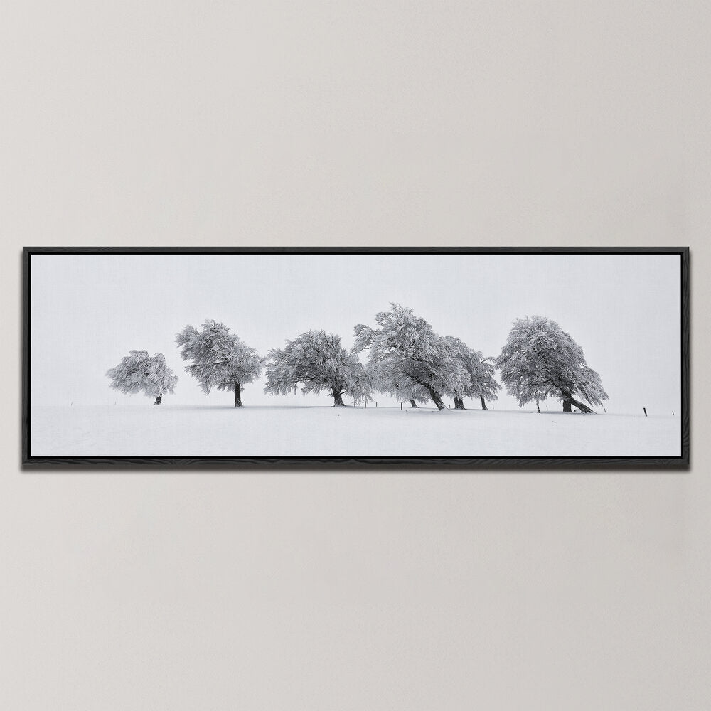 DANCING TREES , PANORAMIC ART