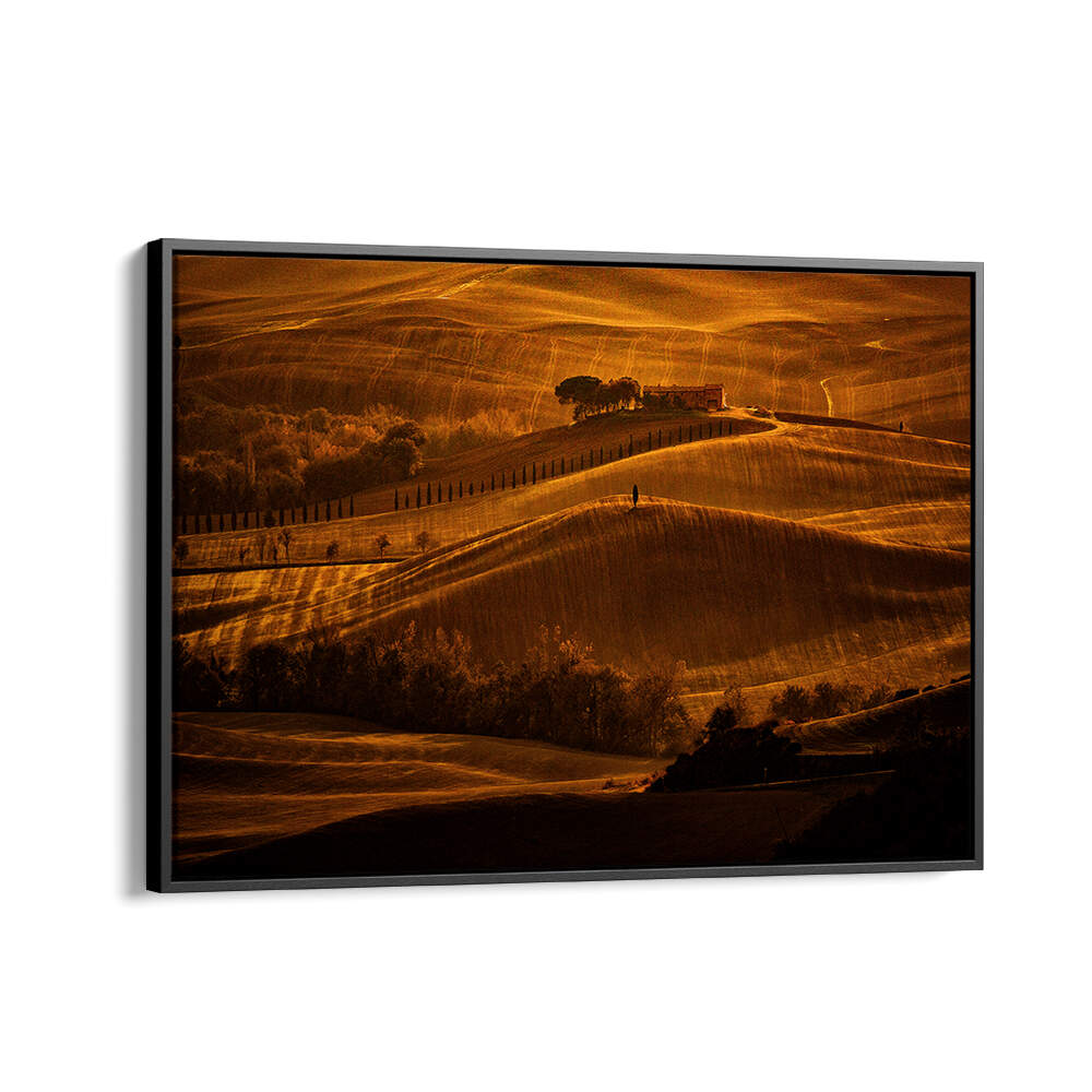 IL CIPRESSO , PHOTOGRAPHY PRINTS