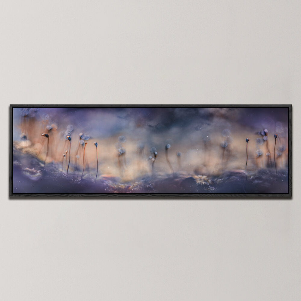 FOREST DREAMS , PANORAMIC ART