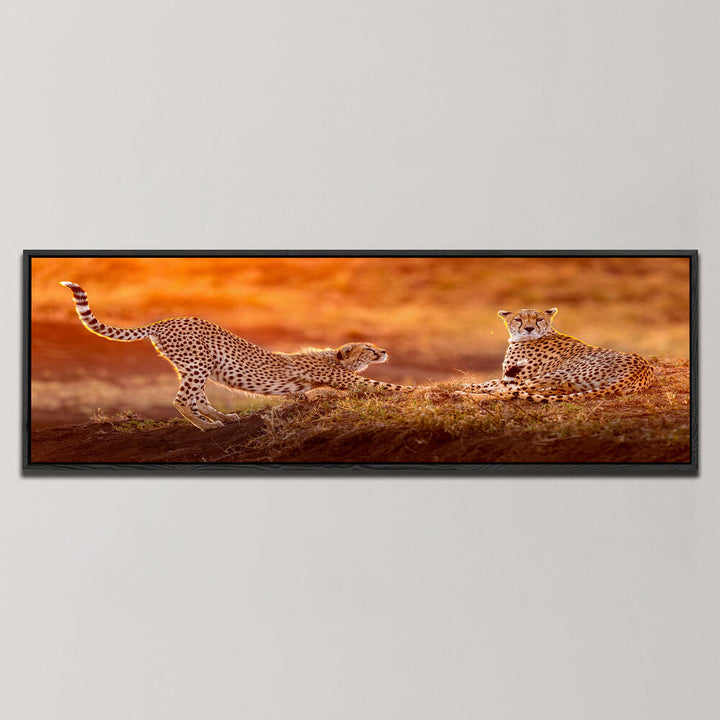 TWO CHEETAHS , PANORAMIC ART
