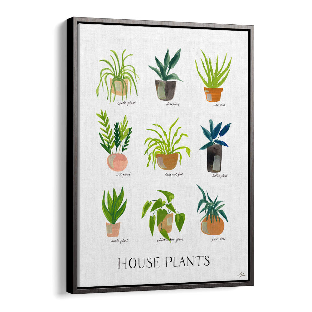 HOUSEPLANTS , FLORAL FLOWER PAINTINGS