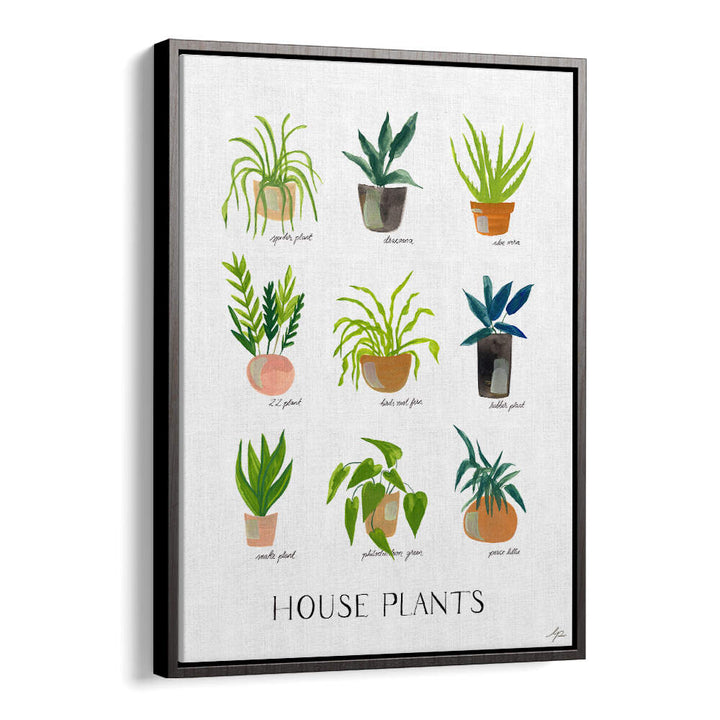 HOUSEPLANTS , FLORAL FLOWER PAINTINGS