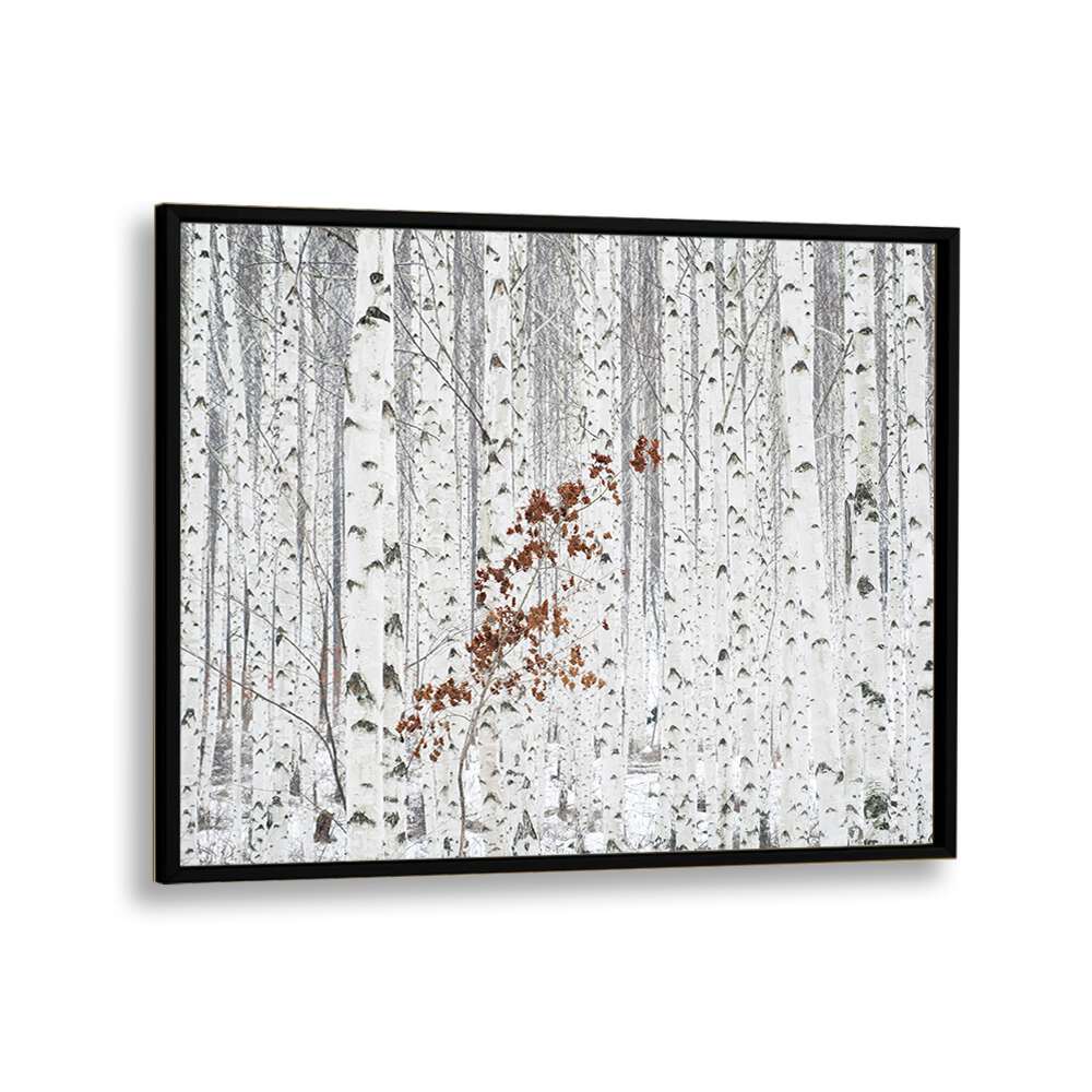 ABSTRACT painting - FROM WHITE by Asianmonk