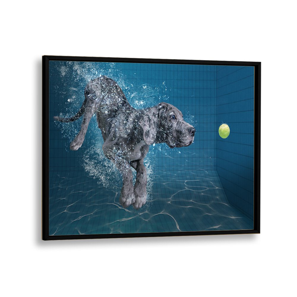 ABSTRACT painting - SPLASH DOG by Asianmonk