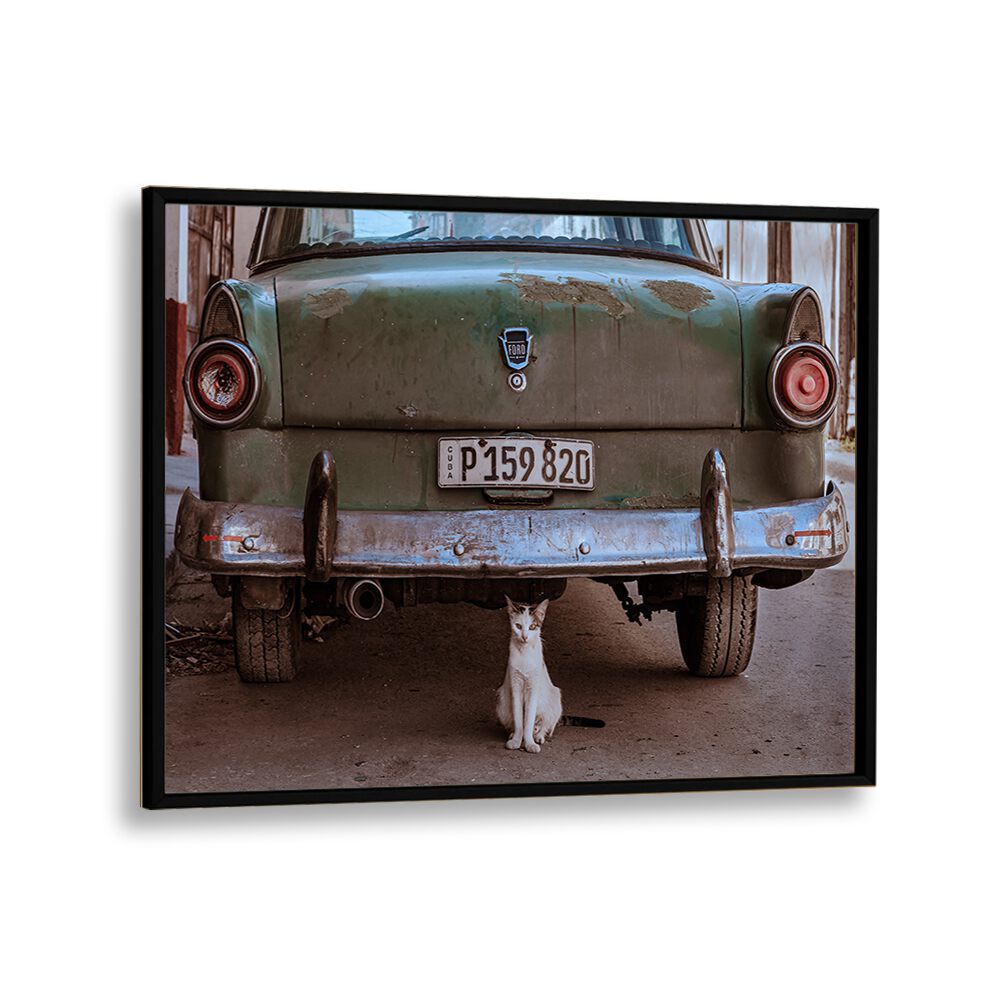 ABSTRACT painting - CUBAN CAT WITH CAR by Asianmonk