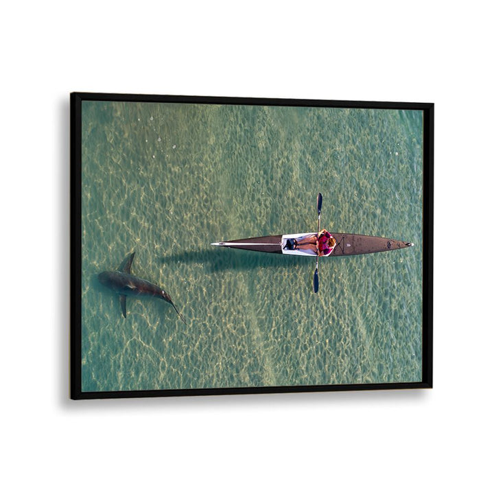 PHOTOGRAPHY painting - SHARK KAYAKING BY IDO MEIROVICH by Asianmonk