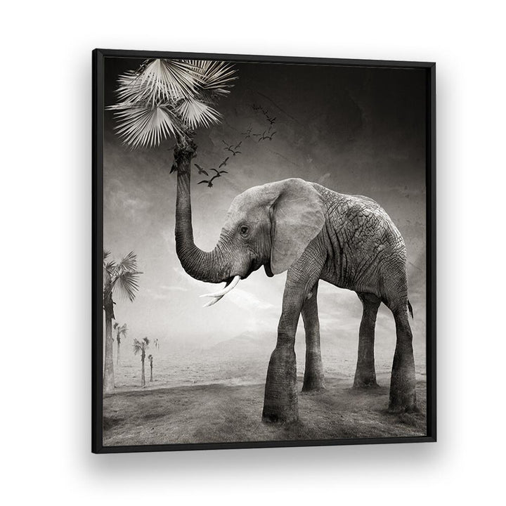 surreal painting - THE STORY OF ELEPHANTS by Asianmonk