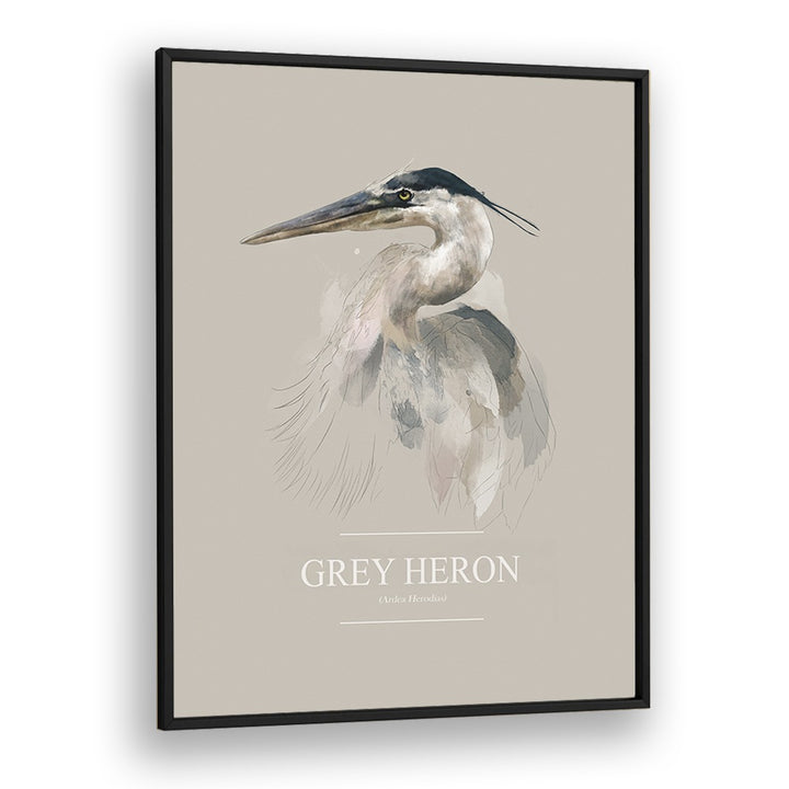 Ohara Koson painting - GREY HERON by Asianmonk