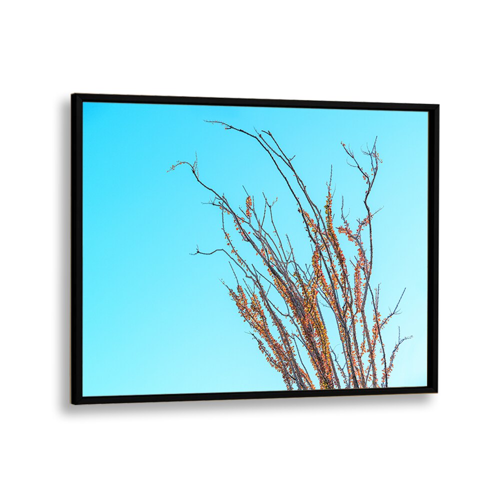 ABSTRACT painting - OCOTILLO IN THE FALL by Asianmonk