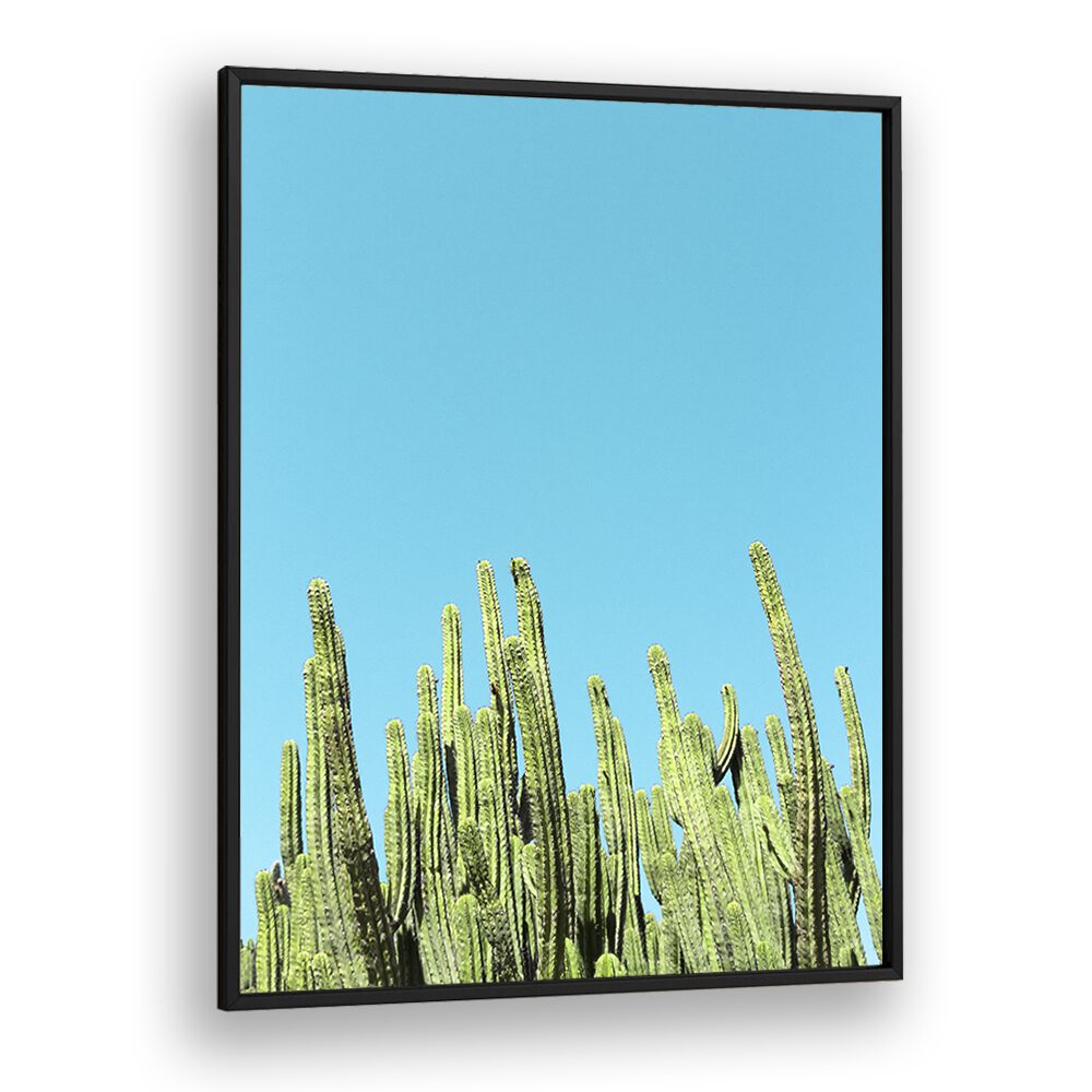 surreal painting - CACTUS REACHING FOR THE SKY by Asianmonk