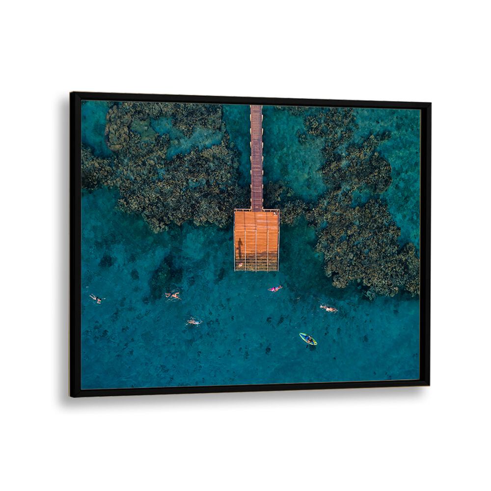 PHOTOGRAPHY painting - CORAL ESCAPE BY IDO MEIROVICH by Asianmonk