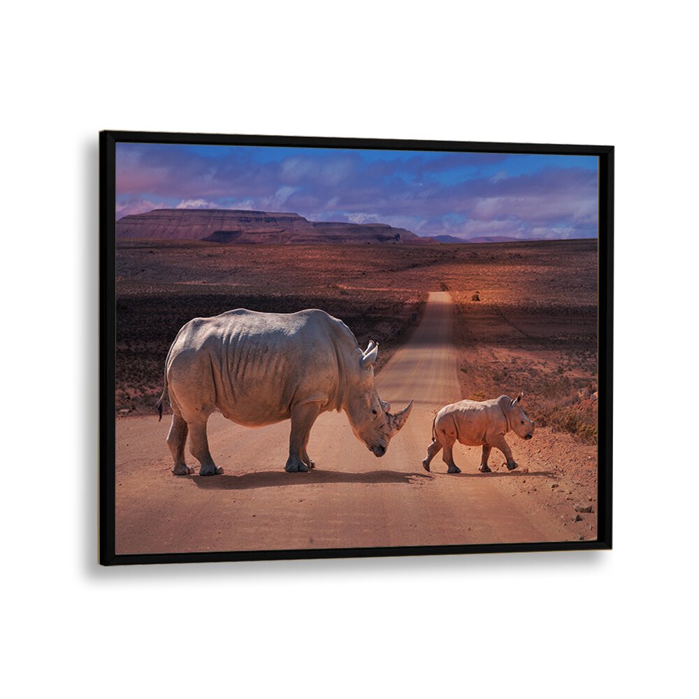 Majestic rhinos crossing a road, featured in our RHINOS CROSSING, PHOTOGRAPHY PRINTS collection. Perfect for wildlife lovers.