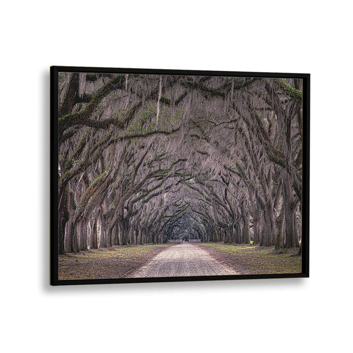 ABSTRACT painting - OAKS AVENUE by Asianmonk