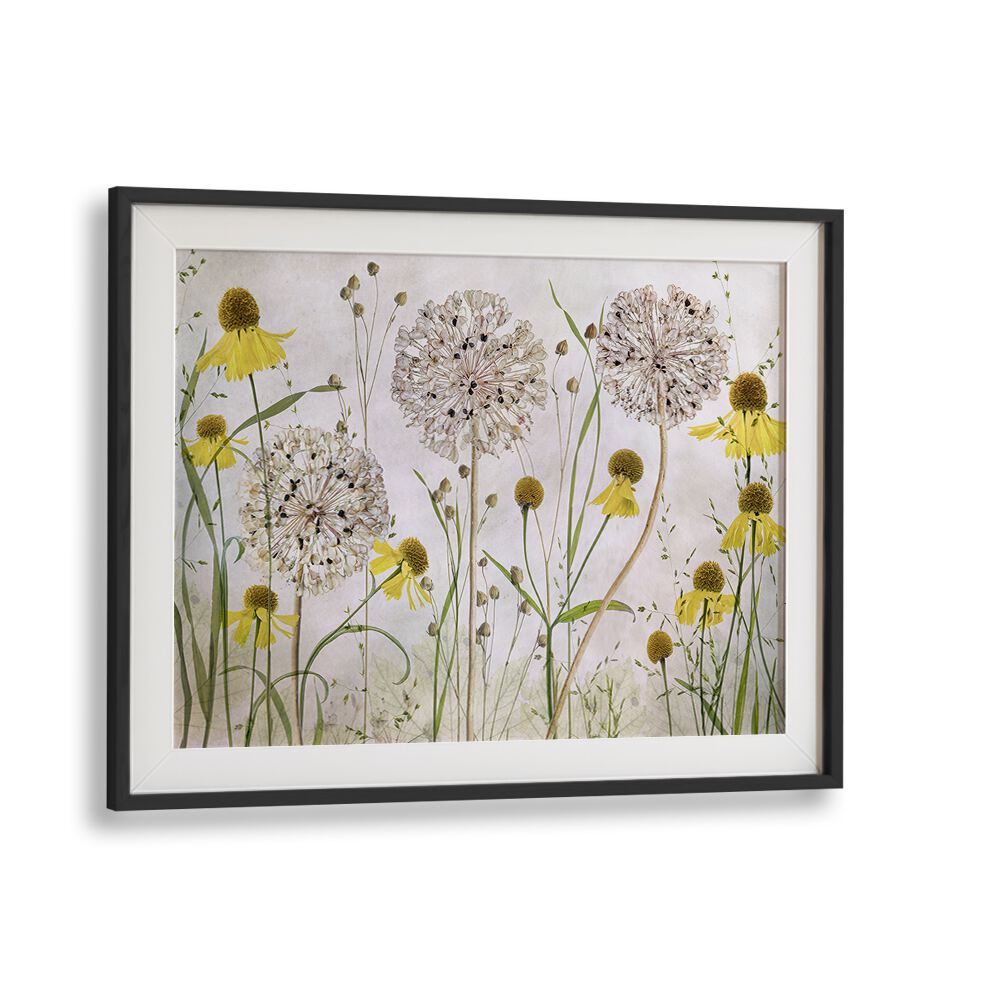 Vibrant ALLIUMS AND HELENIUMS, FLORAL FLOWER PAINTINGS showcasing stunning textures and colors for your decor.
