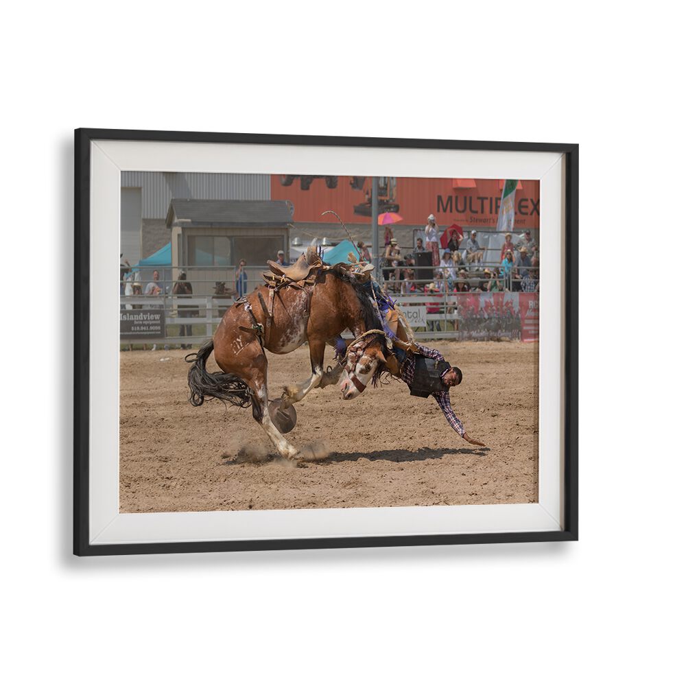 Dynamic action captured in BATTLE, PHOTOGRAPHY PRINTS showcasing thrilling rodeo moments at BLACKMOUNT.