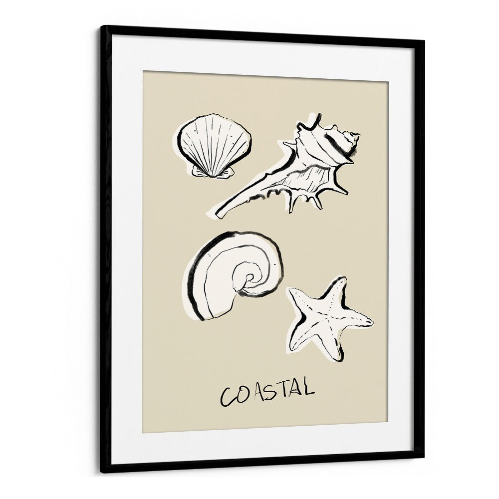 COASTAL SHELLS AND STARFISH