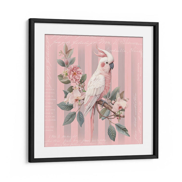 COCKATOO PASTEL PINK , ANIMAL PAINTINGS