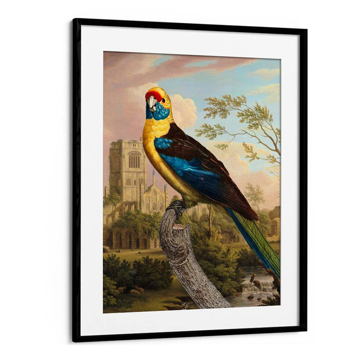 COLORFUL PARROT RUINS