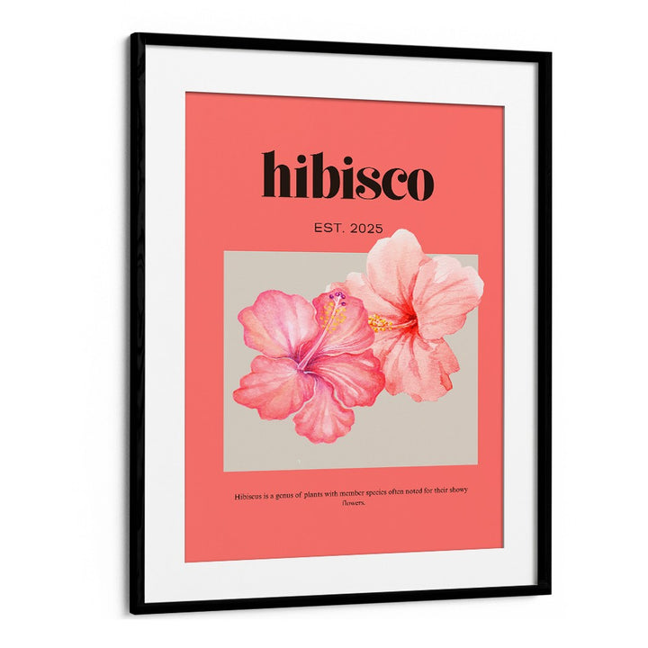 DELICATE PINK HIBISCUS