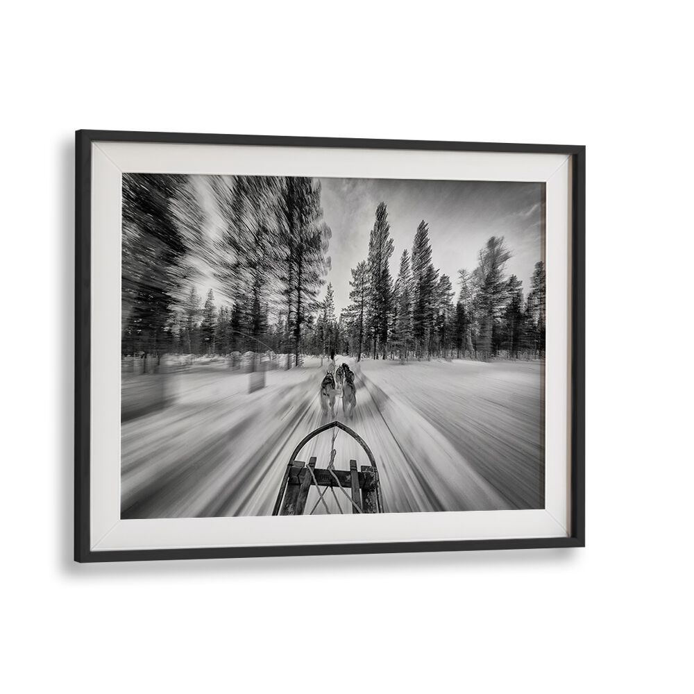 Dynamic dogsledding scene captured in stunning photography prints, showcasing the thrill of the sport. Perfect decor!