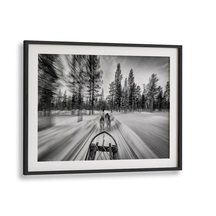 Dynamic dogsledding scene captured in stunning photography prints, showcasing the thrill of the sport. Perfect decor!