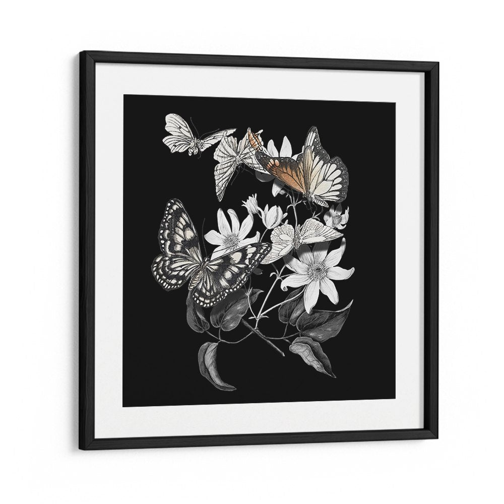 ELEGANT BOTANICAL BUTTERFLIES