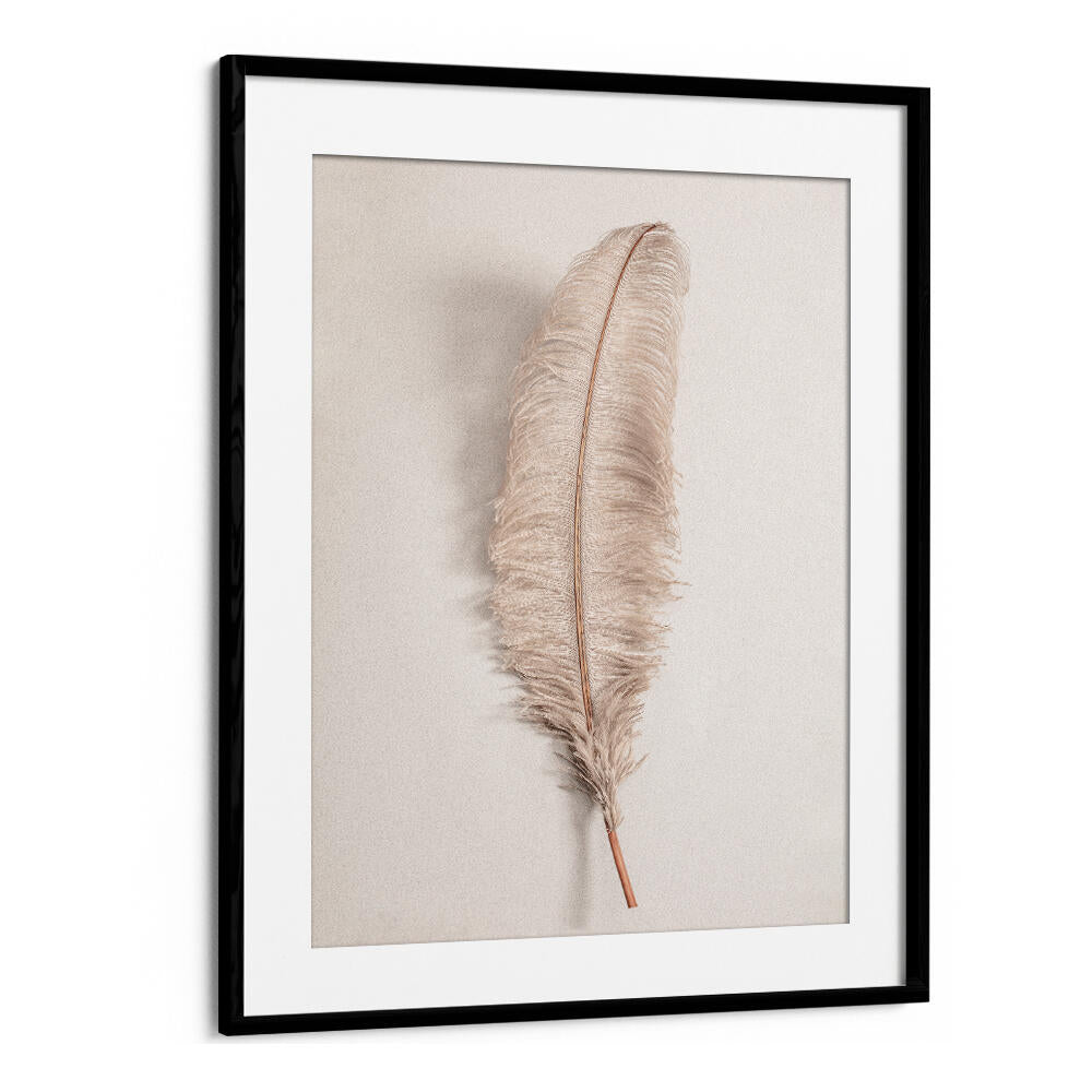 Elegant FEATHER II, BOHO ART PAINTINGS featuring a soft feather design, perfect for enhancing your space's style.