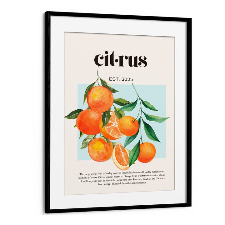 FRESH WATERCOLOR CITRUS