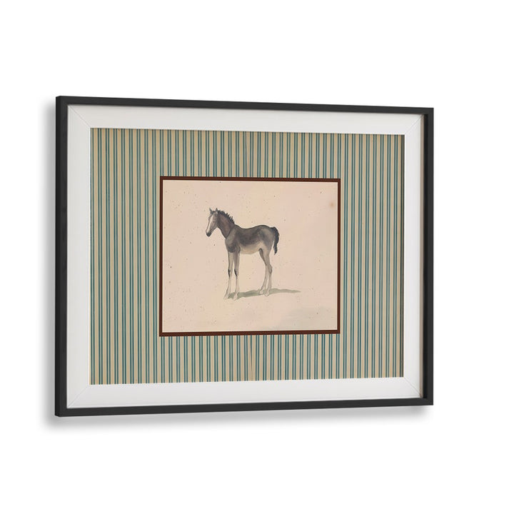 GENTLE FOAL PORTRAIT