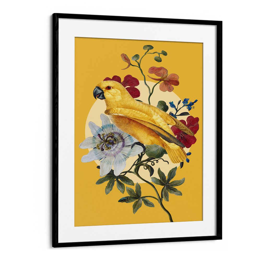 GOLDEN PARROT PASSION FLOWER