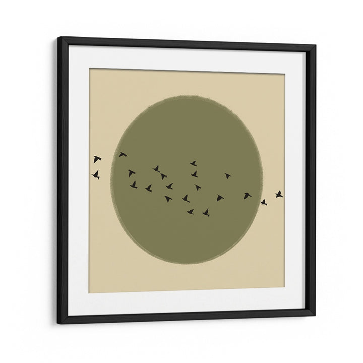 GRACEFUL BIRDS SOARING