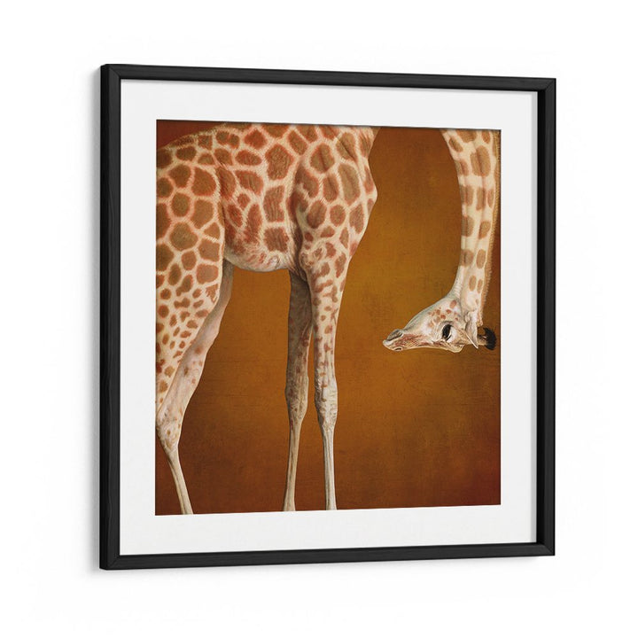 GRACEFUL GIRAFFE PORTRAIT