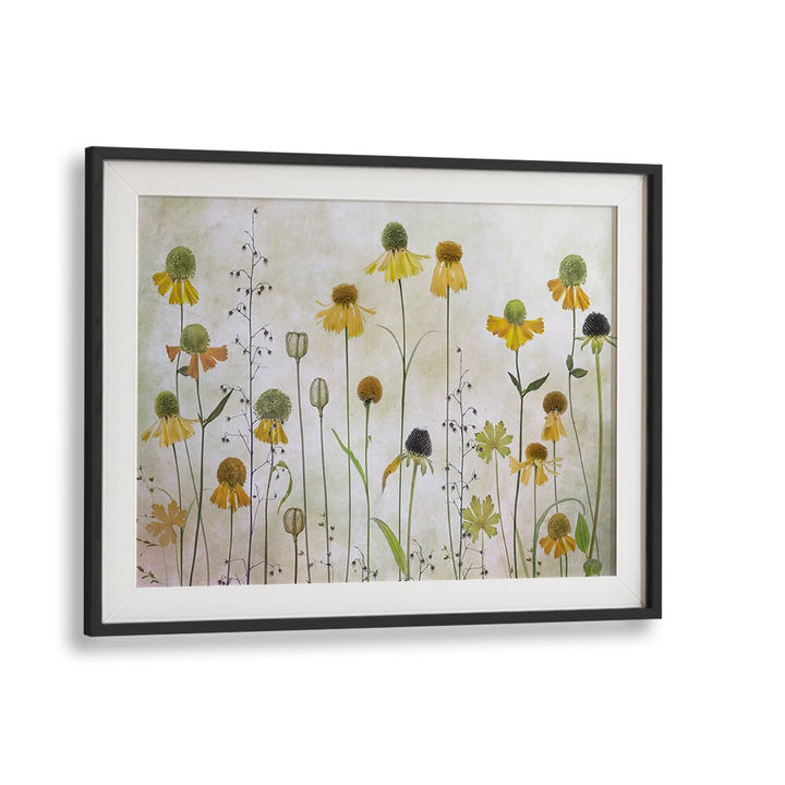 Helenium floral flower paintings showcase vibrant blooms, enhancing your home decor with modern elegance.