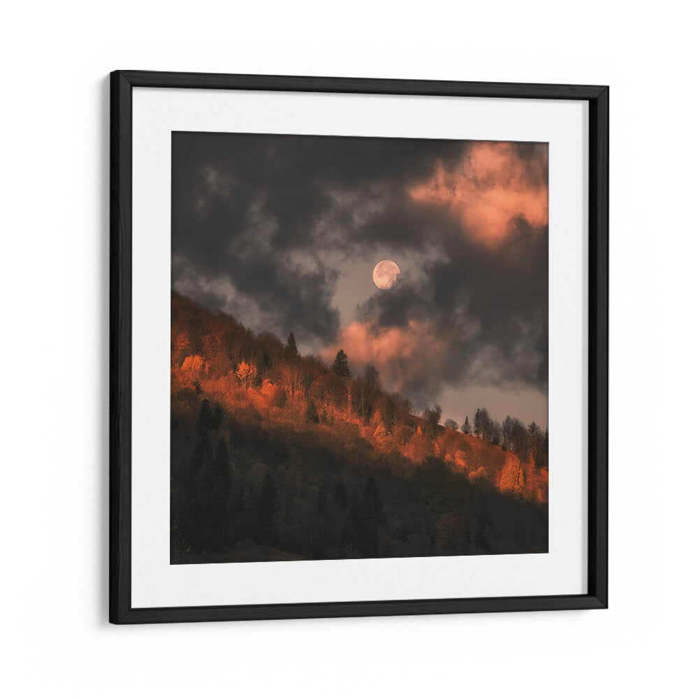 MOON DOESN'T WANT TO GO