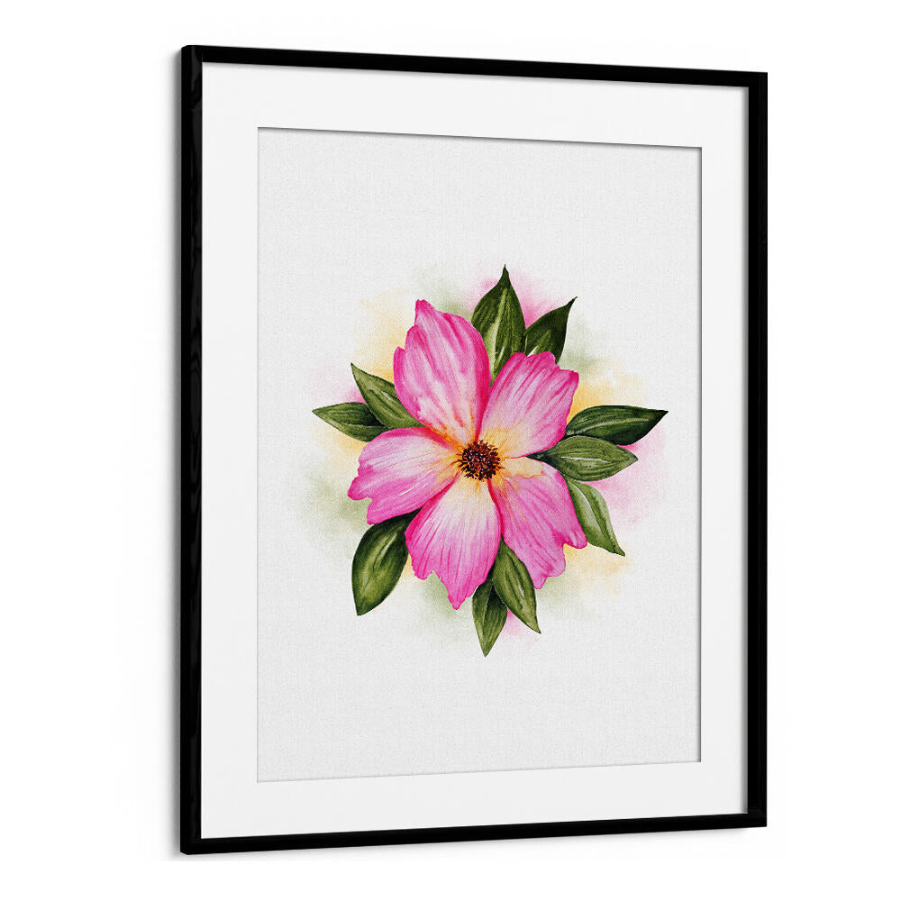 PAEONIA SUFFRUTICOSA , FLORAL FLOWER PAINTINGS