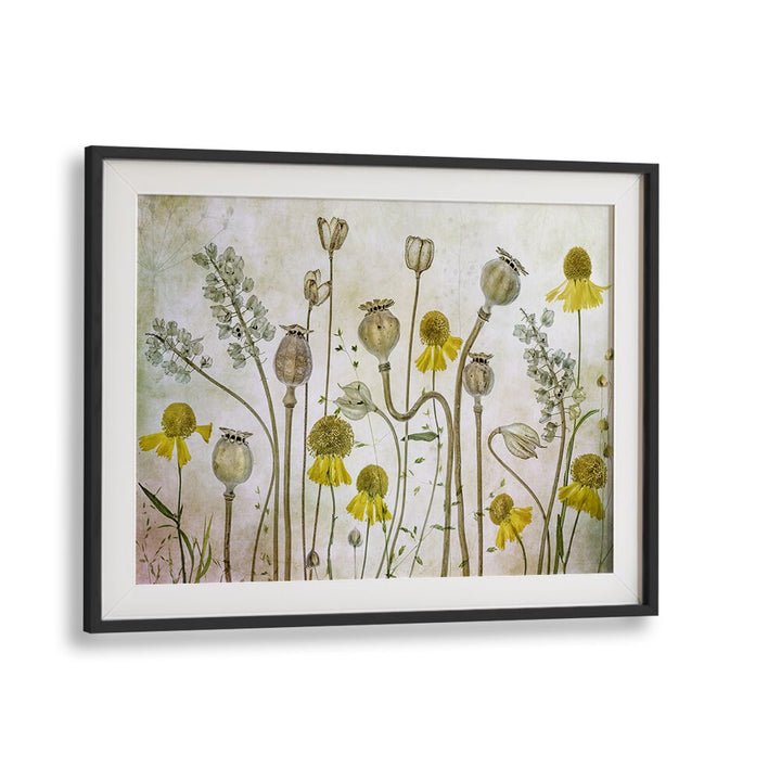 Vibrant POPPIES AND HELENIUM, FLORAL FLOWER PAINTINGS enhancing home decor with stunning floral arrangements.